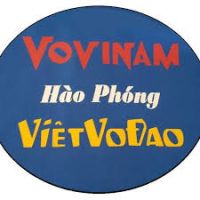 HAO PHONG VOVINAM - Sport Santé Domicile